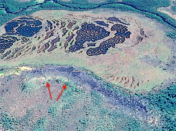 beaver dams on Google Earth