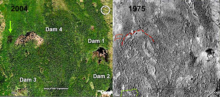 comparison of 2004 satellite image and 1975 aerial photo