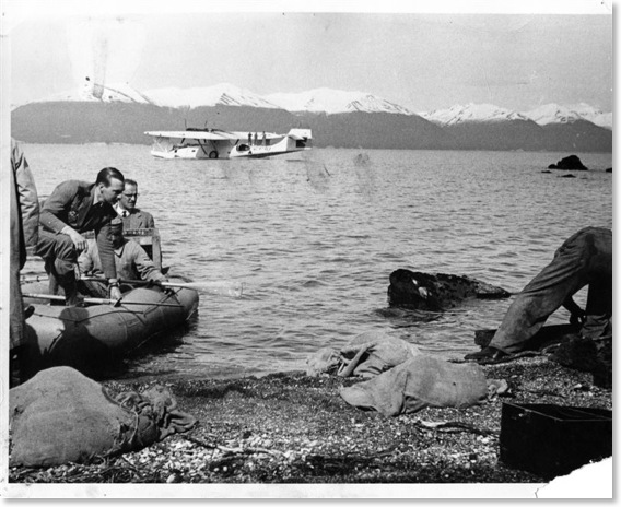 beaver release in 1946 by Lamb